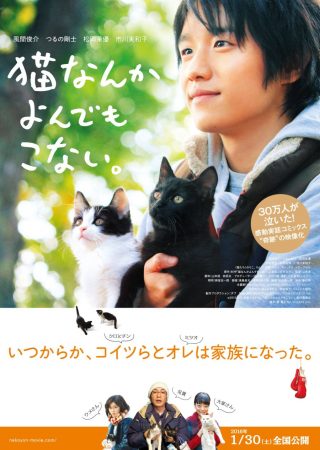 Cats Don’t Come When You Call