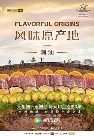 Flavorful Origins: Chaoshan