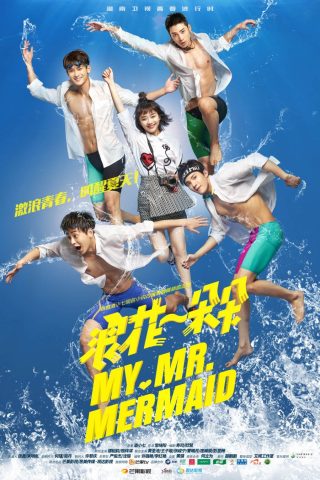 My Mr. Mermaid